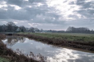 Kris Martle ruimte voor water bron vermelden