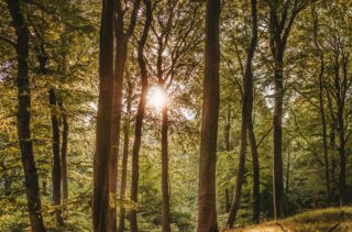 Pexels felix mittermeier 1459534