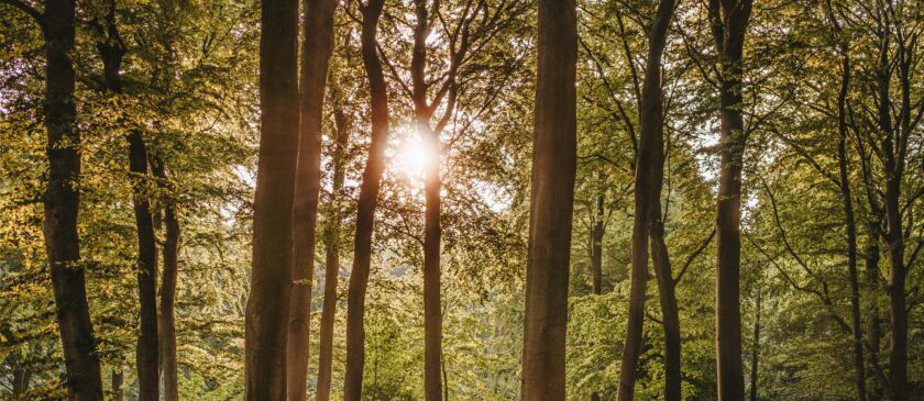 Pexels felix mittermeier 1459534