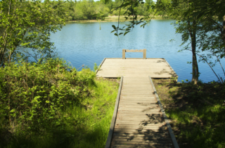 Omslagfoto actie 8 ha bos