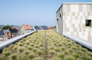 Omslagfoto actie 9 groendak gevels