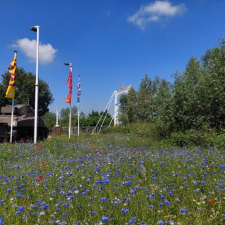 199220139 4050308331749774 1760271560927220898 n