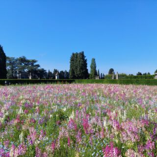 199709784 4050306945083246 1898062331416637521 n