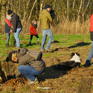 50751027 1997316727048955 1572155160744951808 n