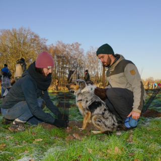 Omslagfoto actie 7 bomen planten