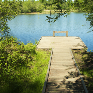 Omslagfoto actie 8 ha bos