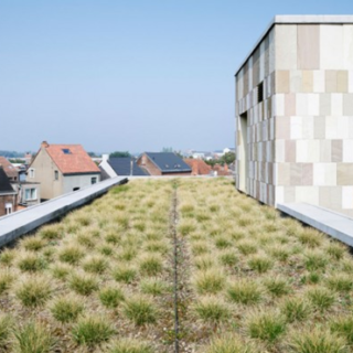 Omslagfoto actie 9 groendak gevels