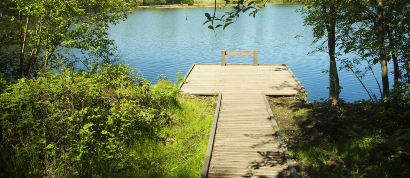 Omslagfoto actie 8 ha bos