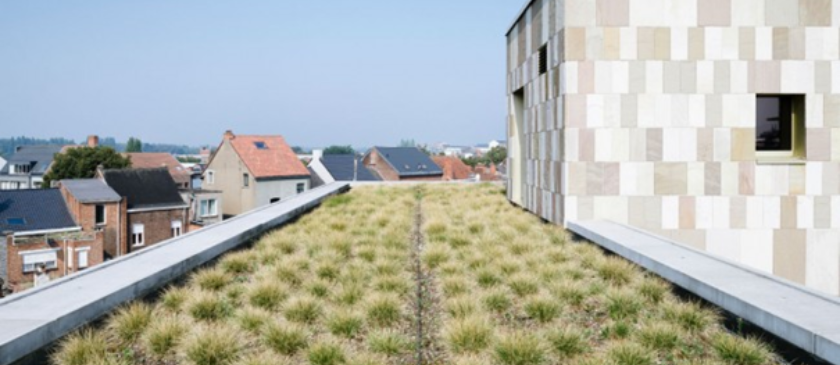 Omslagfoto actie 9 groendak gevels